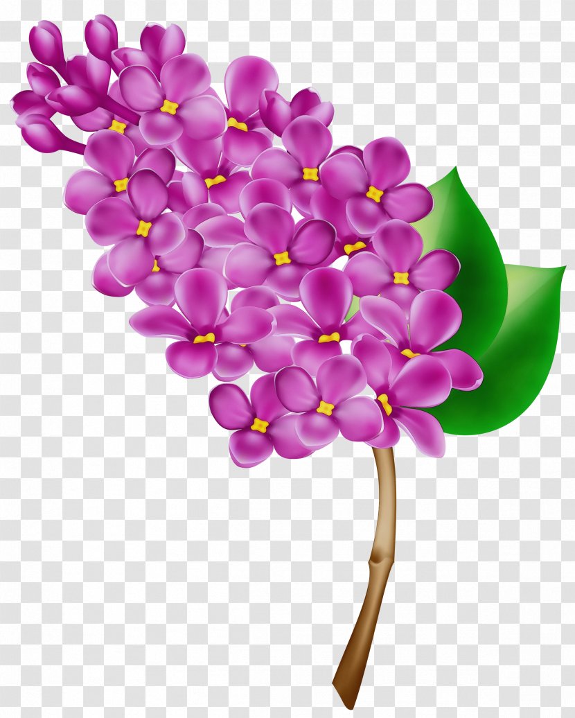 Flower Purple Lilac Violet - Pink - Magenta Petal Transparent PNG