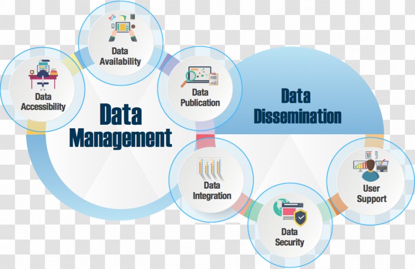 Data Management Dissemination Organization Transparent PNG