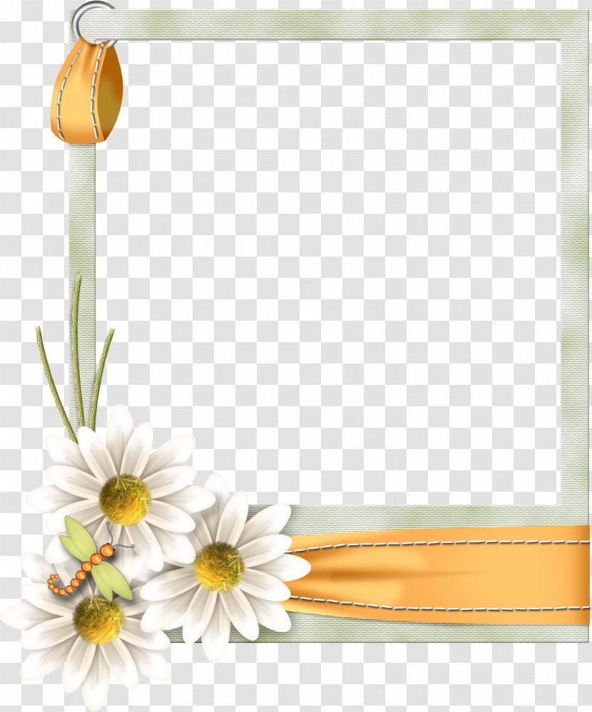 Picture Frames Image Snap Frame Vector Graphics - Petal Transparent PNG