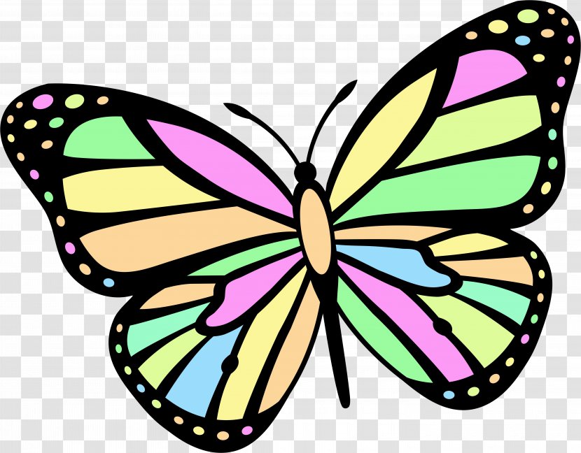 Butterfly Tattoo Color Clip Art - Petal - 9.10 Transparent PNG