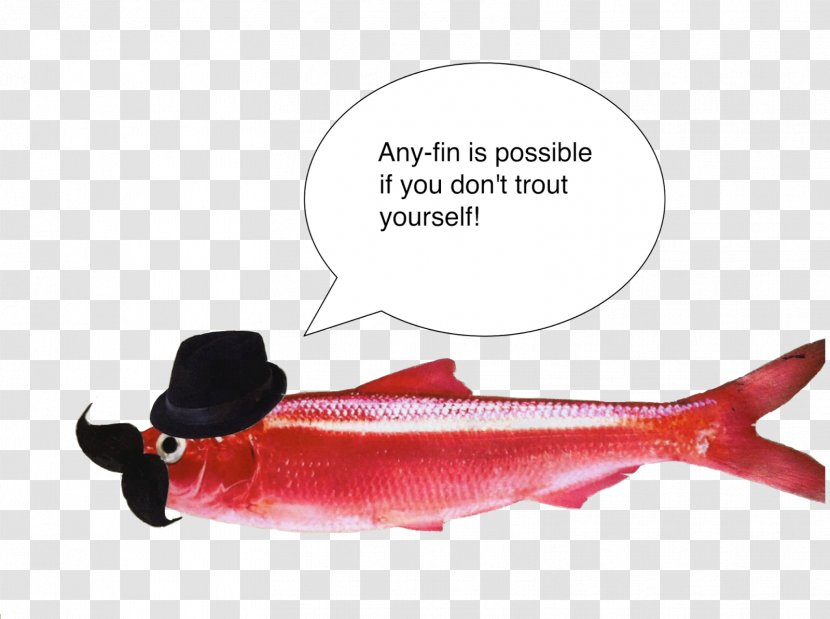 Salmon Pun Cod Fish Herring Transparent PNG