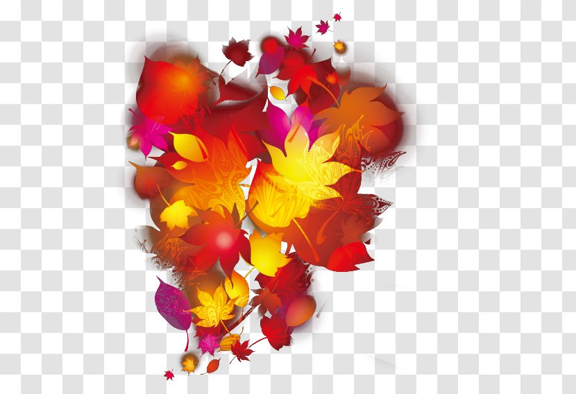 Maple Leaf - Floral Design - Fire Transparent PNG