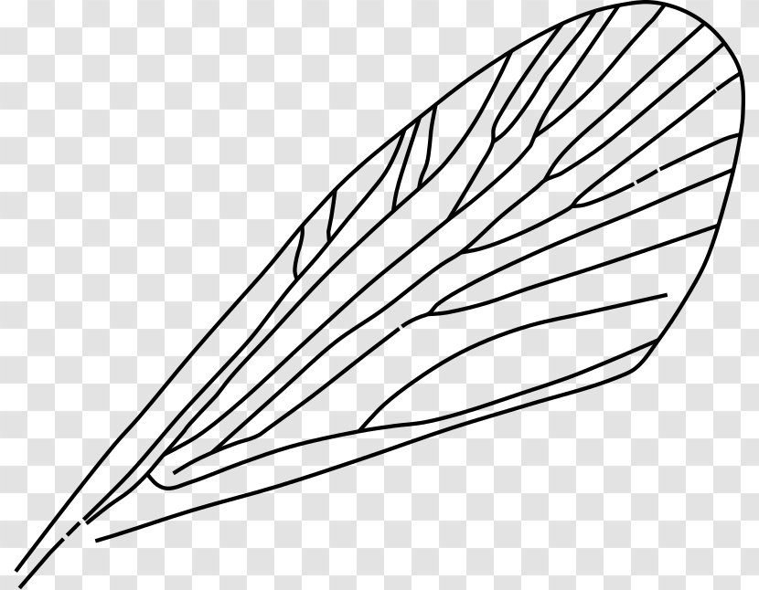 Insect Wing Drawing Airplane Clip Art - Dragonfly Transparent PNG