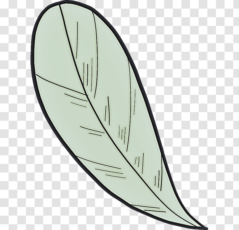 Feather Transparent PNG