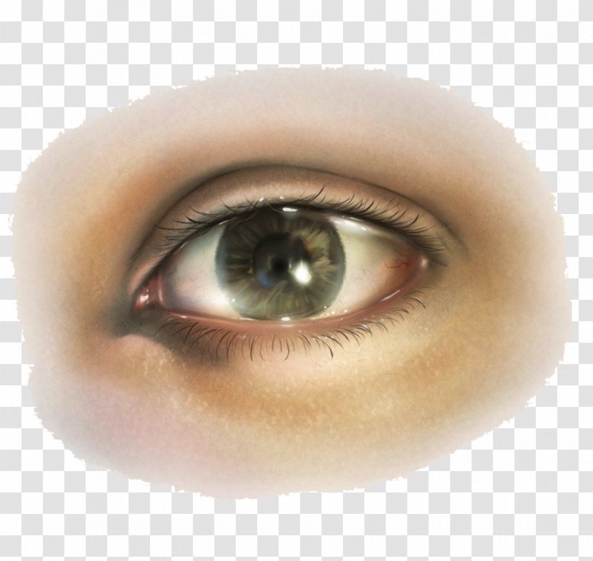 Corel Painter Drawing Eye Painting - Frame - Eyes Transparent PNG