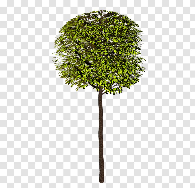 Shrub Tree Branch Clip Art - Flowerpot Transparent PNG