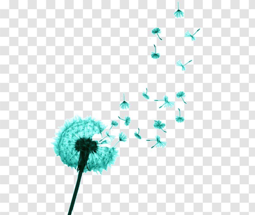 Abziehtattoo Dandelion Beauty - Tattoo Transparent PNG