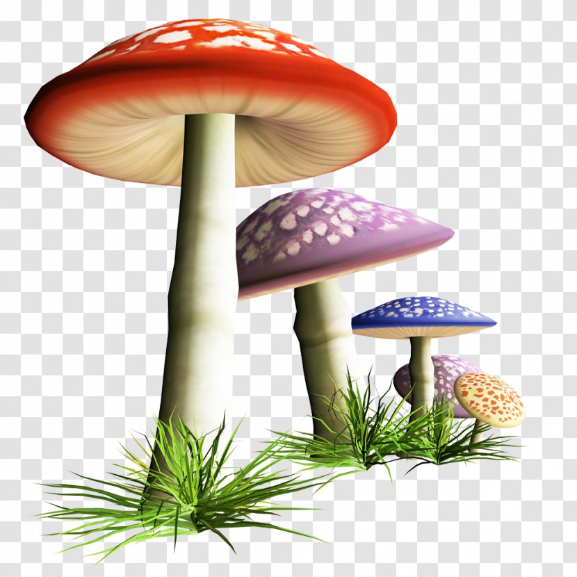 Mushroom Fungus Clip Art - Flower Transparent PNG