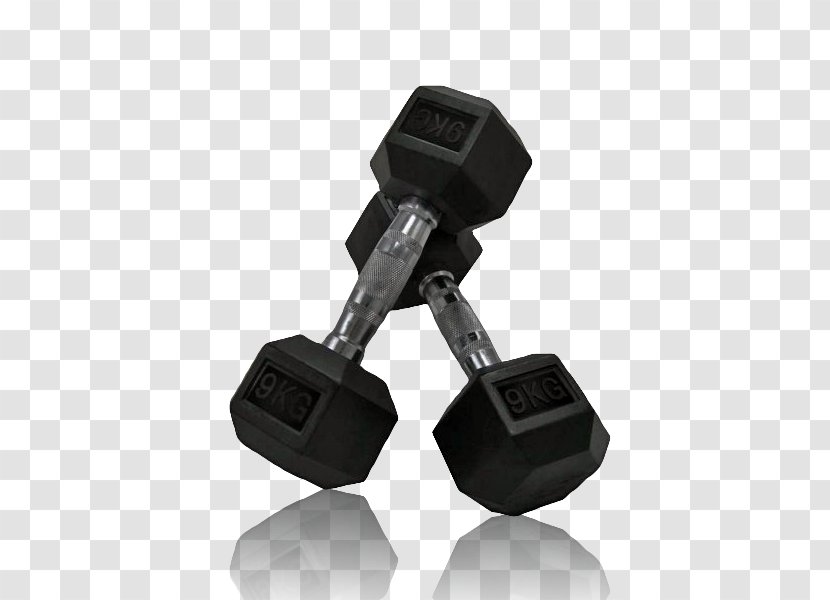 Dumbbell Icon - Bench - Dumbbells Transparent PNG