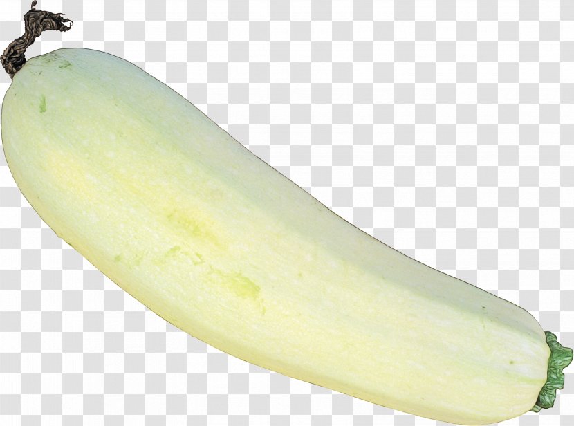 Vegetable Banana Plant Family Food - Watercolor - Fruit Transparent PNG