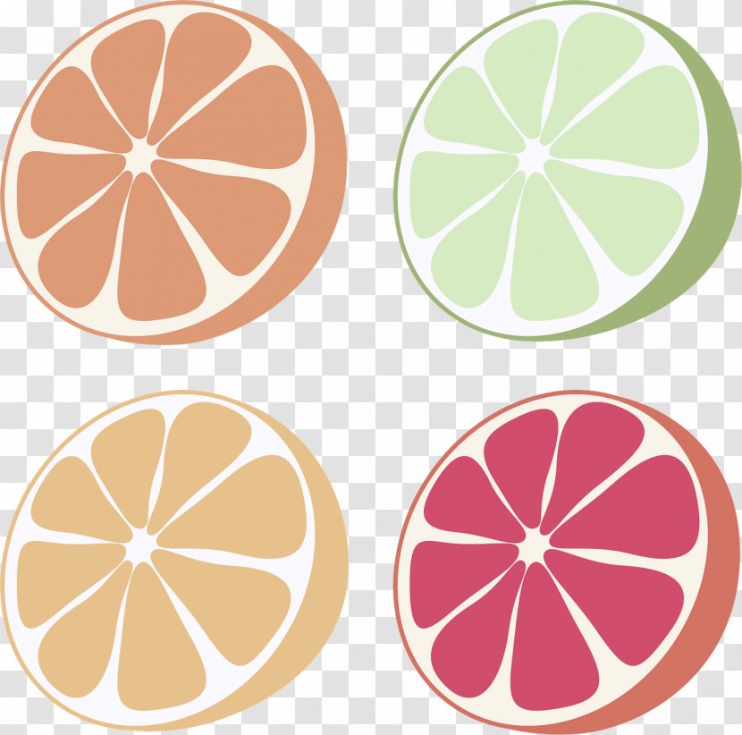 Citrus Grapefruit Clip Art Lemon Plant - Fruit Transparent PNG