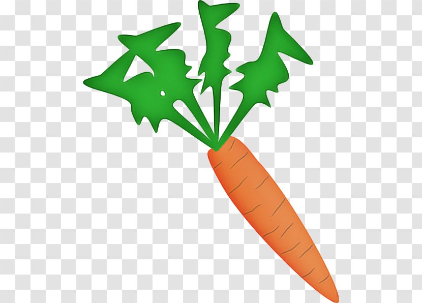Leaf Clip Art Carrot Plant Vegetable Transparent PNG