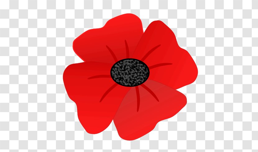 Remembrance Poppy Clip Art - Royaltyfree - Flower Transparent PNG