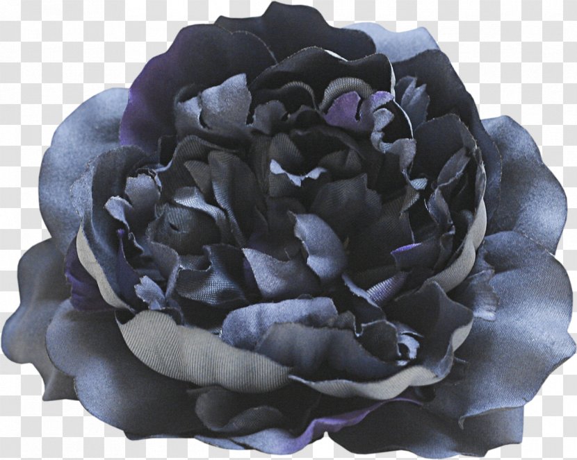 Garden Roses Flower Petal Purple - Blue - Woman Transparent PNG