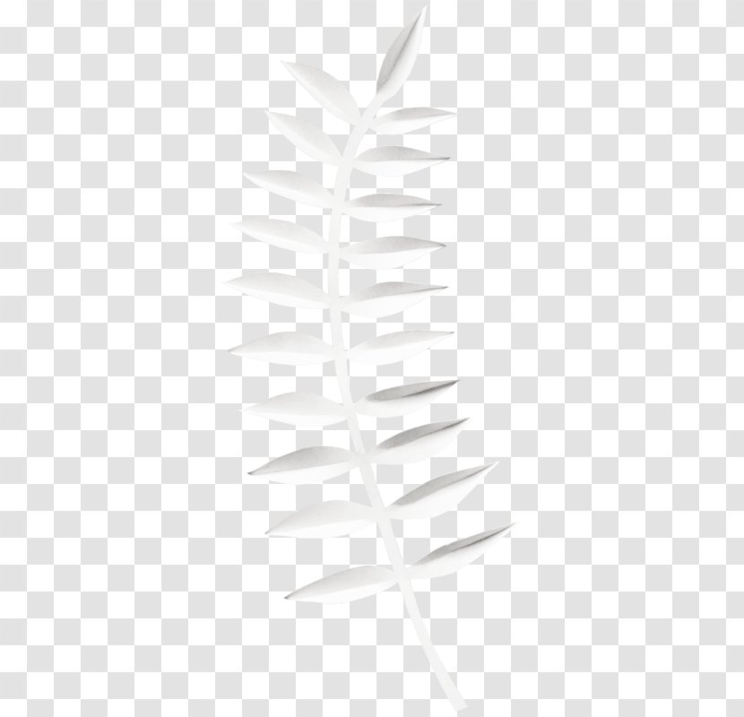 Leaf Line - Plant - White Transparent PNG