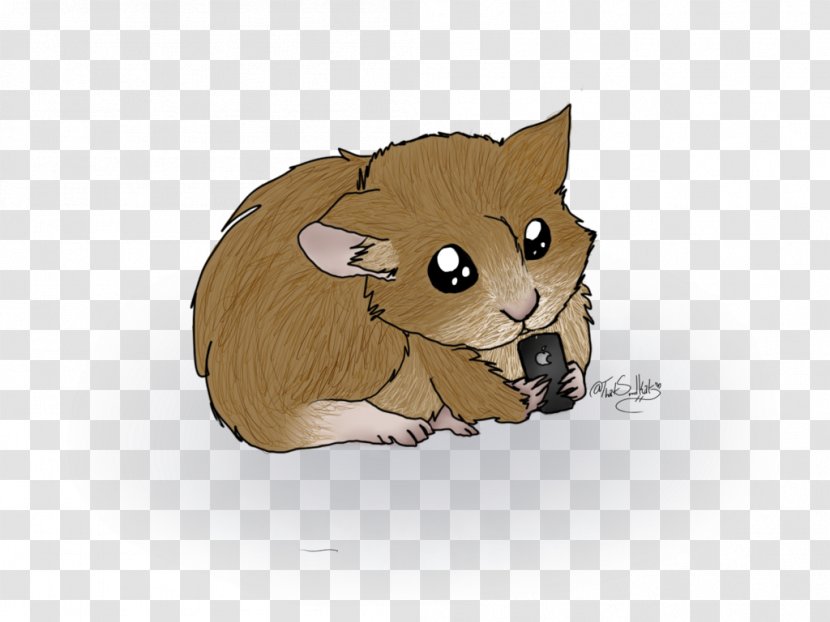 Cat Mouse Rat Whiskers Mammal - Carnivoran - Hamster Transparent PNG