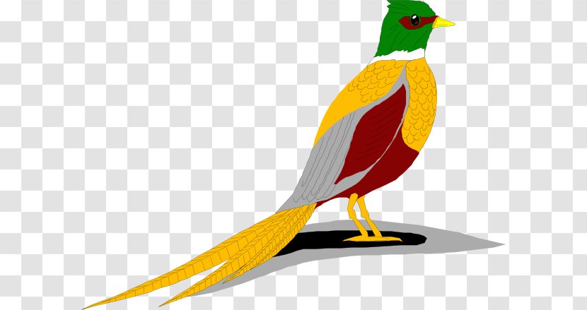 Green Pheasant Bird Clip Art - Yellow - Cliparts Transparent PNG