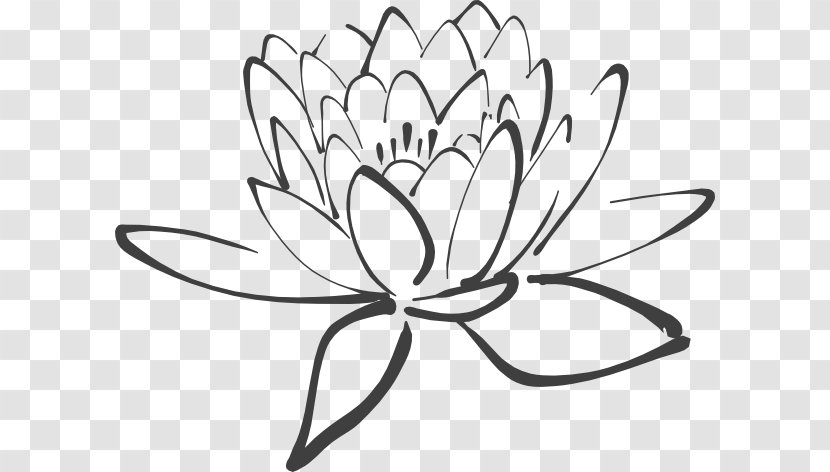 Nelumbo Nucifera White Black Clip Art - Floral Design - Lotus Outline Transparent PNG