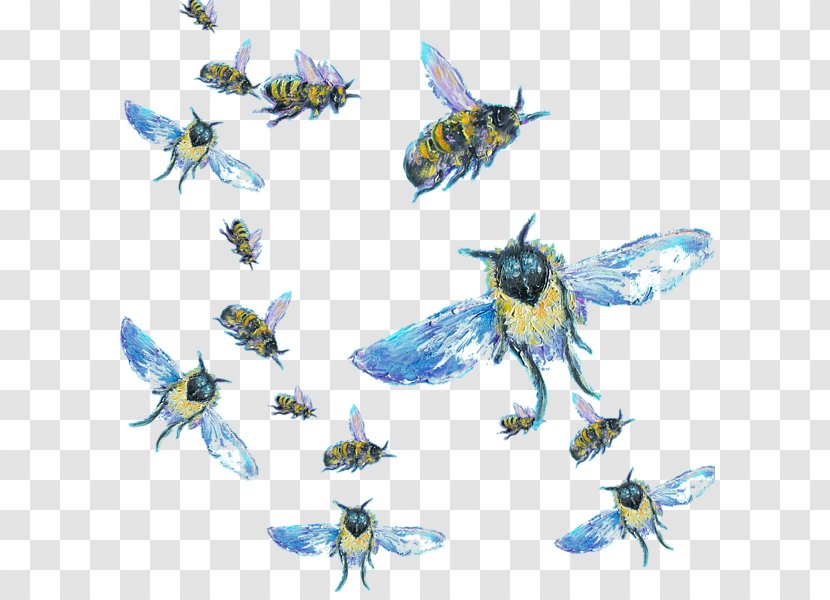 Honey Bee Butterfly 2M - Moths And Butterflies - Jan Transparent PNG