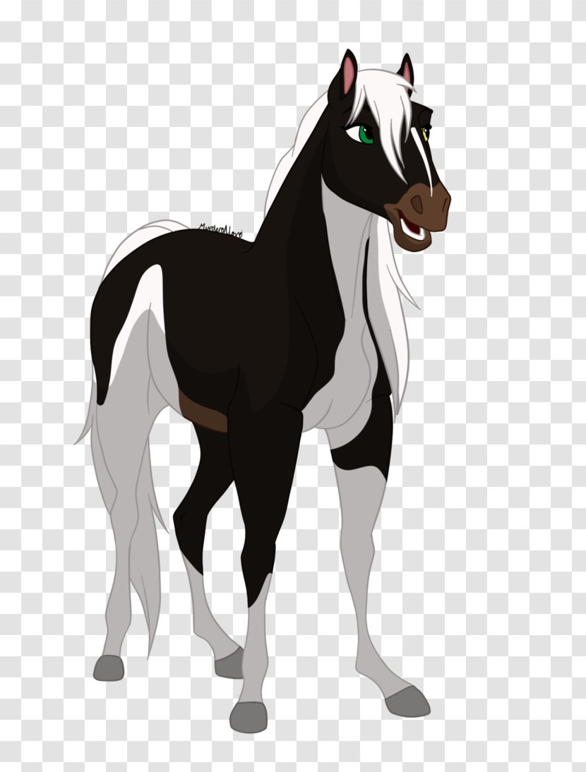Mustang Pony Foal Stallion Drawing - Colt Transparent PNG
