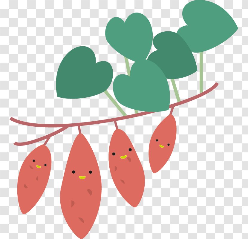 Sweet Potatoes Potato Leaf Illustration Cartoon Daigaku-imo - Seasonal Transparent PNG