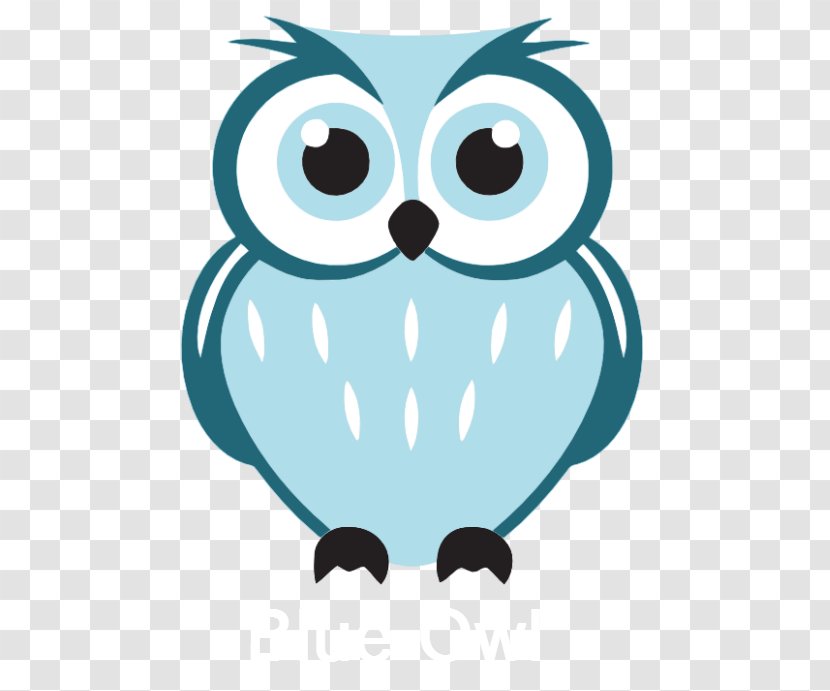 Owl Bird Drawing Clip Art - Smile Transparent PNG