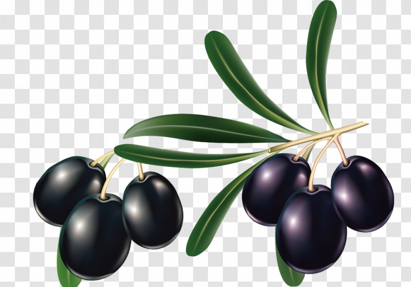 Mediterranean Cuisine Olive Oil Leaf - Shutterstock - Creative Black Transparent PNG
