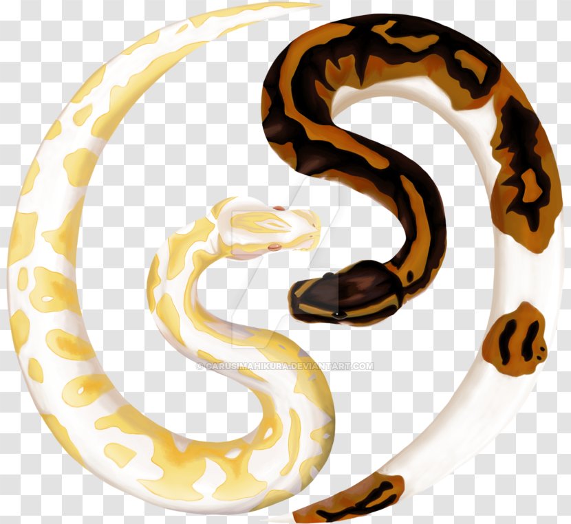 Drawing Of Family - Serpent - Animal Figure Corn Snake Transparent PNG