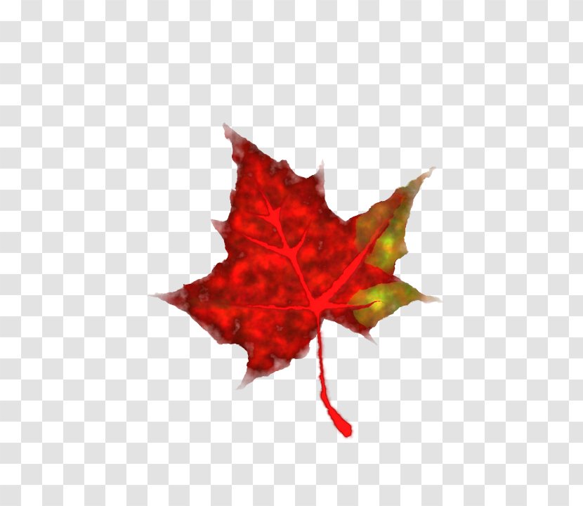Autumn Leaf Color Clip Art - Flowering Plant - Fall Cartoon Transparent PNG