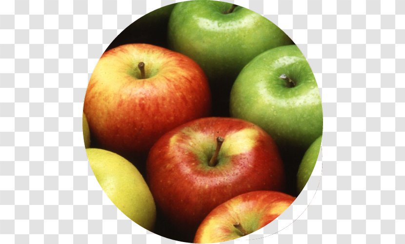Apple Cider An A Day Keeps The Doctor Away Eating Apples Transparent PNG