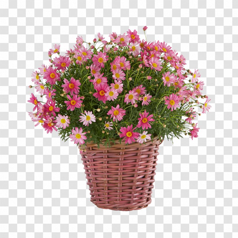 Floral Design Blume Garden Cut Flowers Flowerpot - Flower Transparent PNG