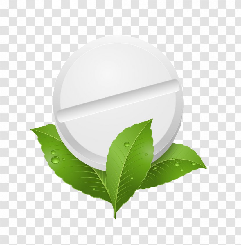 Peppermint Herb Leaf Illustration - White Tablet Transparent PNG