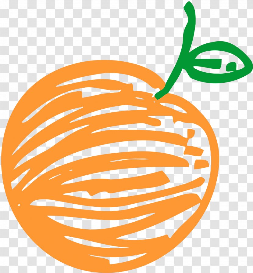 Vector Graphics Clip Art Image Sketch - Cucurbita - Orange Transparent PNG