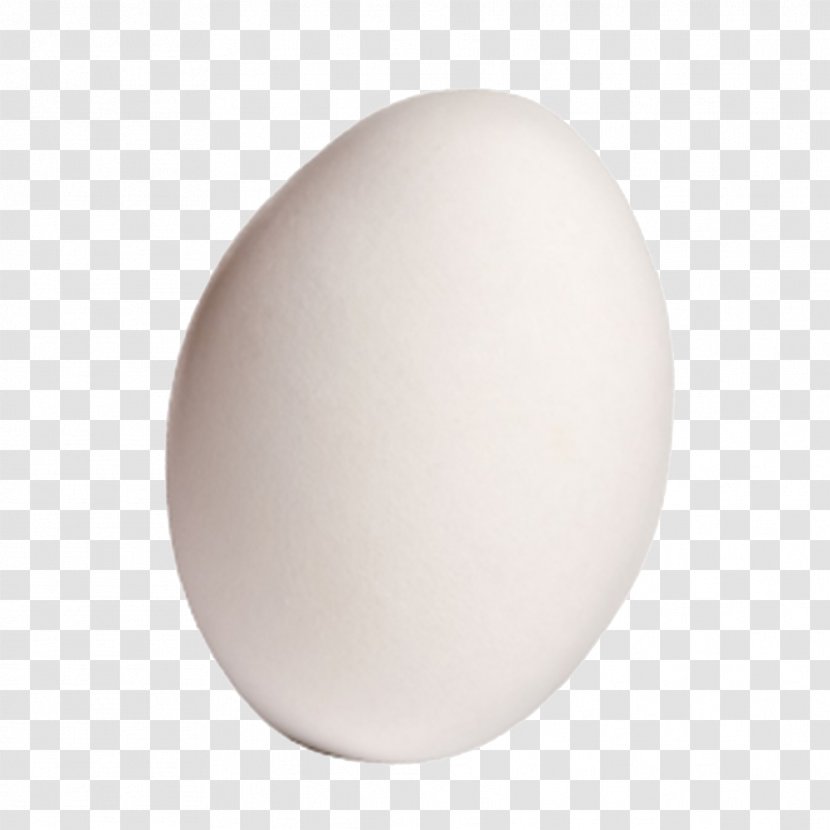 Domestic Goose Egg - Pillow - A Transparent PNG