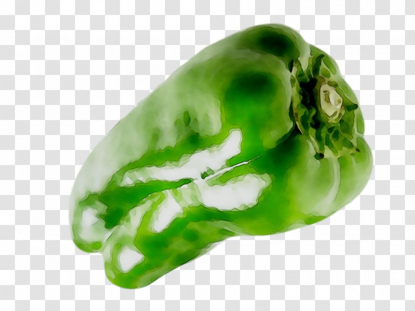 Bell Pepper Chili Peppers - Pimiento - Capsicum Transparent PNG