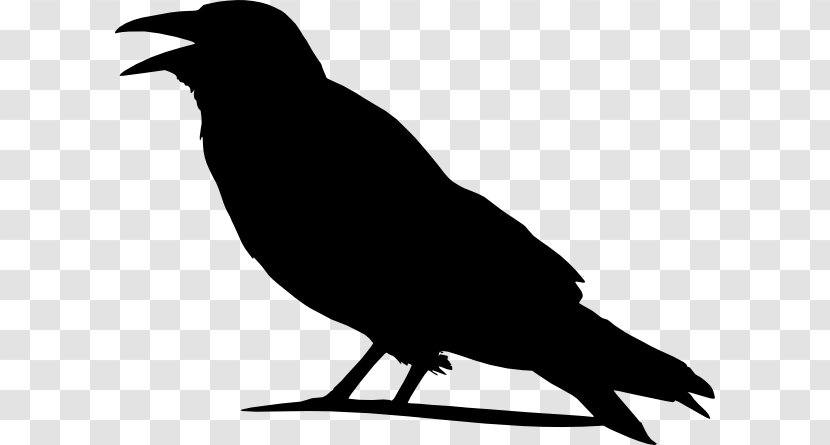 Crow Clip Art - Black And White Transparent PNG