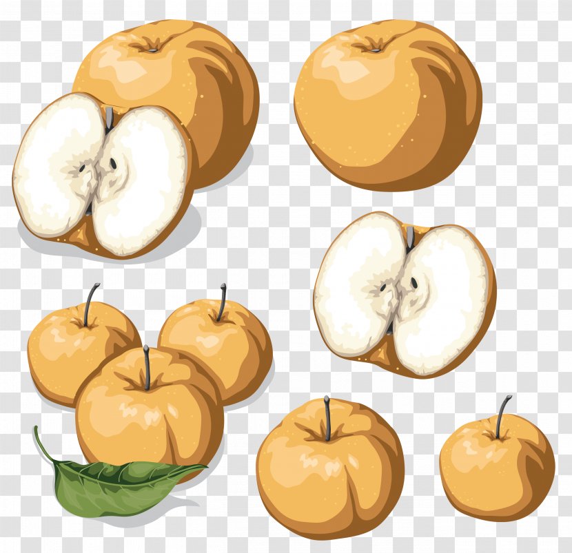 Apple Fruit - Commodity - Pattern Transparent PNG