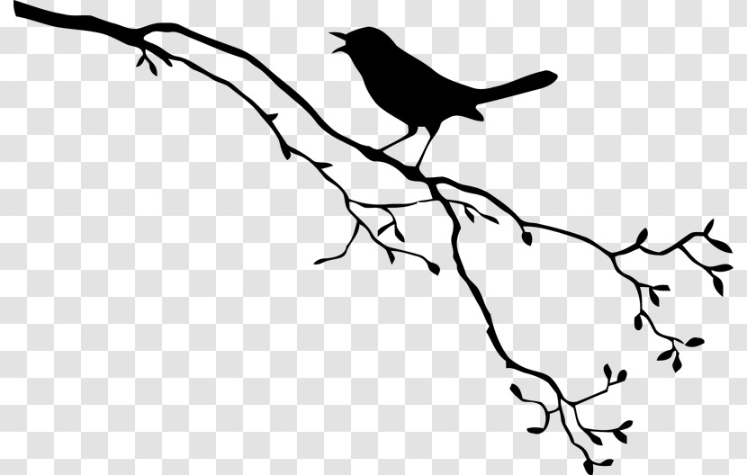Bird Beak White Branch Black Transparent PNG