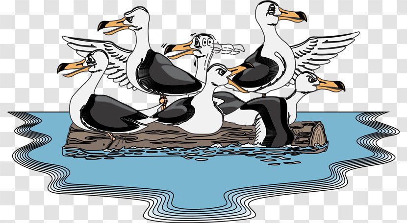 Duck Penguin Bird PhotoScape - Ducks Geese And Swans - Xn Transparent PNG