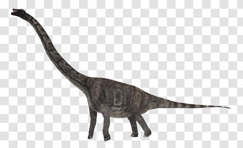 Jurassic Park: Operation Genesis Velociraptor Cat Dinosaur Kentrosaurus - Carnotaurus Transparent PNG