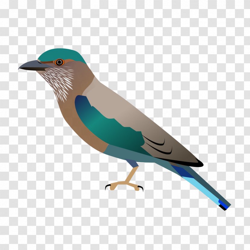 Indian Roller Bird Andhra Pradesh European - Lilacbreasted Transparent PNG