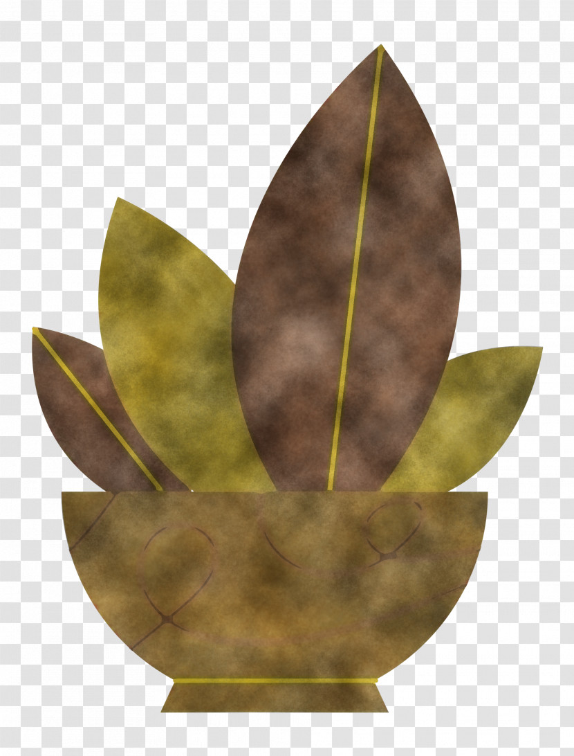 Leaf 01504 Brass Science Biology Transparent PNG