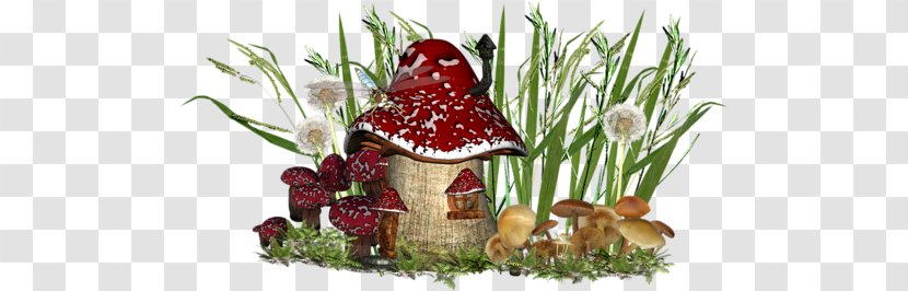 Fungus Clip Art - Fruit - Kleurplaat Transparent PNG