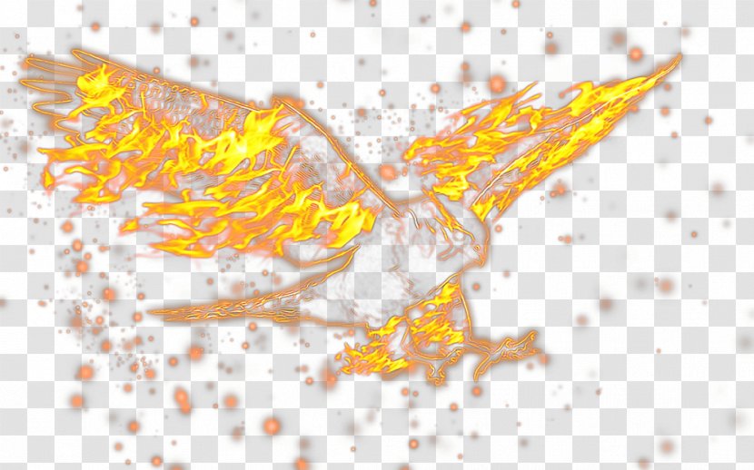 Bird Flame Fire Transparent PNG