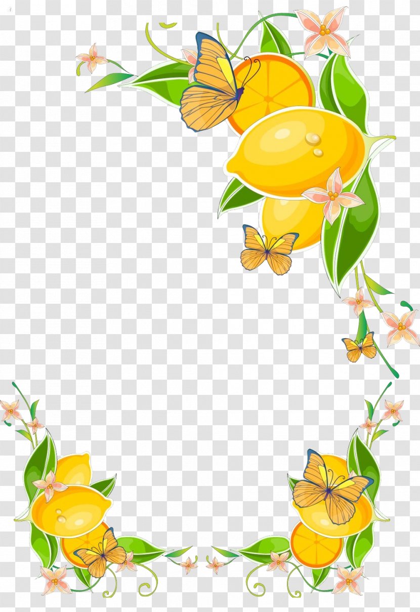 Lemon Stock Photography Clip Art - Plant - Lemon,butterfly Transparent PNG