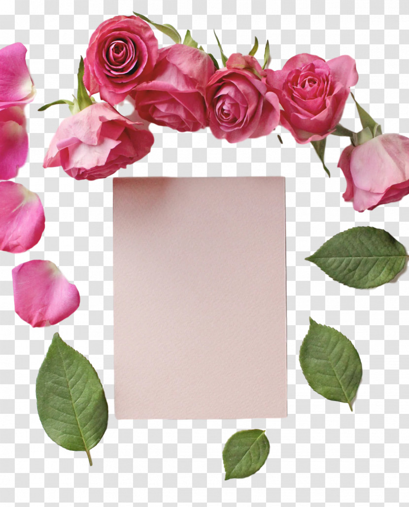 Floral Design Transparent PNG