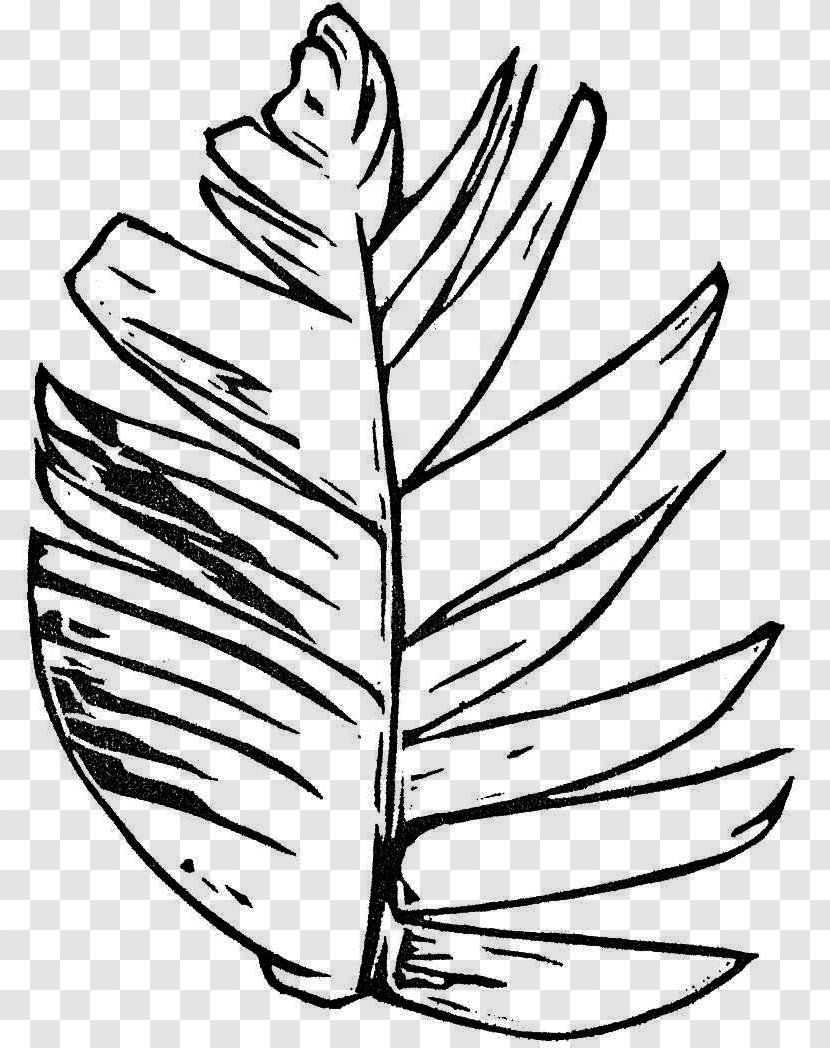 Leaf Flowering Plant Line Art Clip - Tree Transparent PNG
