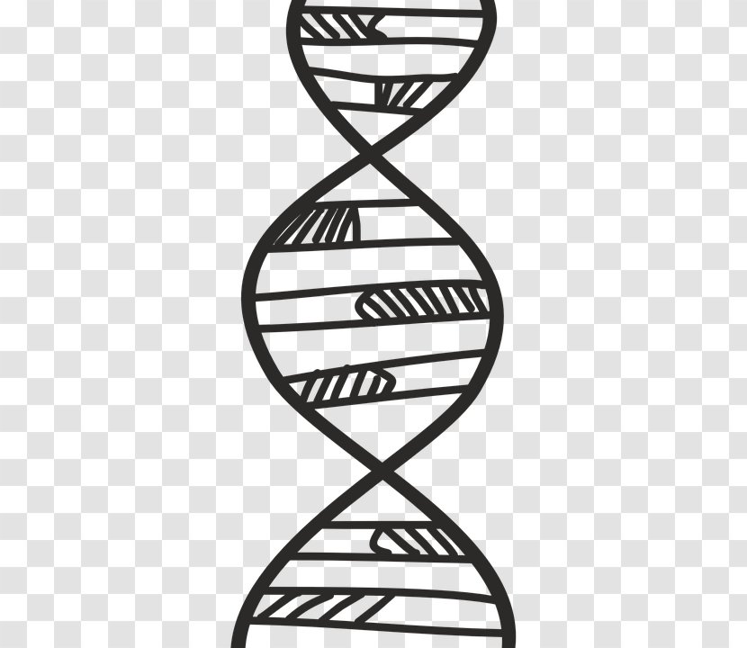 DNA Profiling Genetics Vector Graphics Biology - Nucleic Acid Double Helix - Biologia Transparent PNG