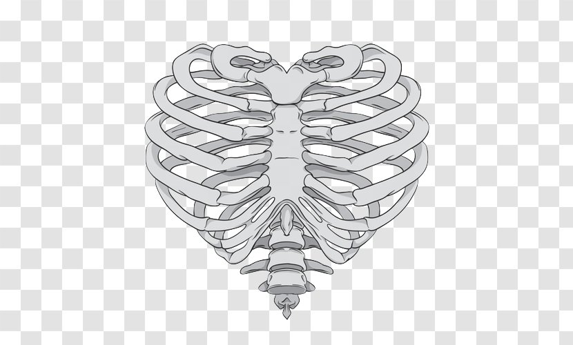 Rib Cage Heart Human Skeleton Anatomy - Watercolor - Hand Transparent PNG