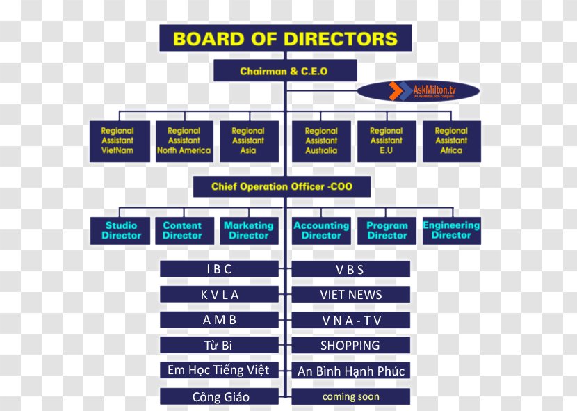 Vietnamese Language United States Of America Television Channel Organization - Board Directors Chart Transparent PNG